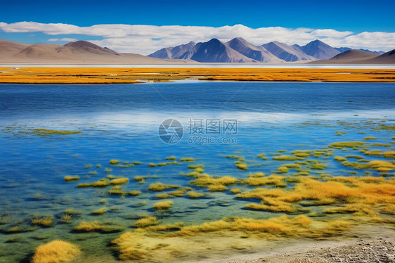 金秋时节的美丽湖泊图片