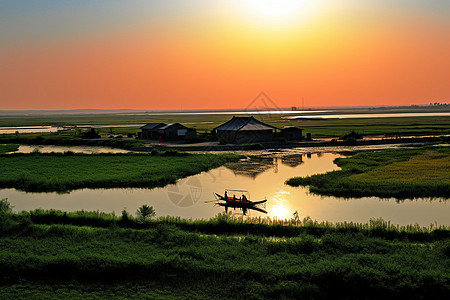 沼泽地风景图片