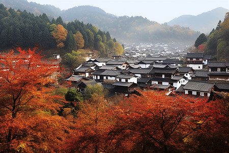 古村落建筑风景图片