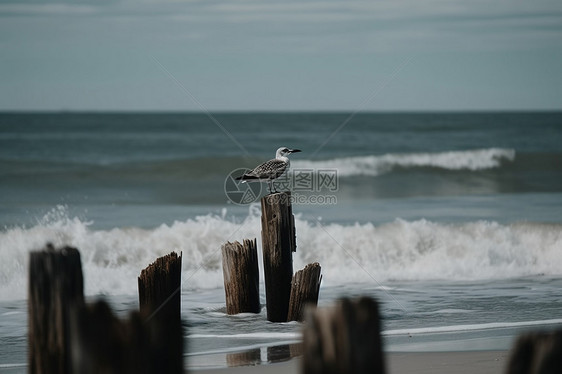 汹涌澎湃的海浪景观图片