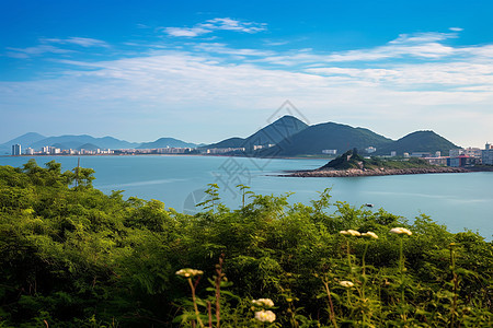 夏季东平镇的自然景观图片