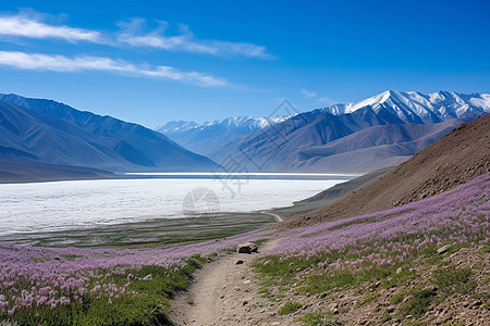 新疆南部的风景图片