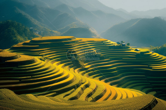 自然梯田风景图片