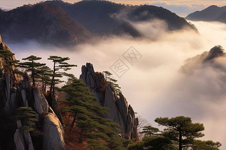 黄山美丽的风景图片