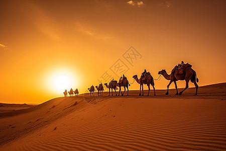沙漠中的骆驼群图片