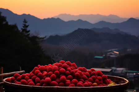 覆盆子果子背后的自然景观背景图片