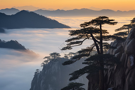 清新的风景图片