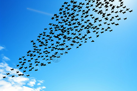飞翔的战斗机一群鸟在蓝天下形成箭背景