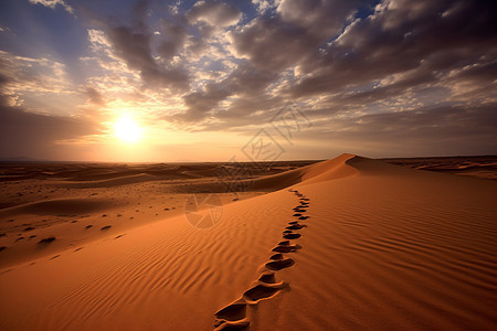 热情的沙漠图片