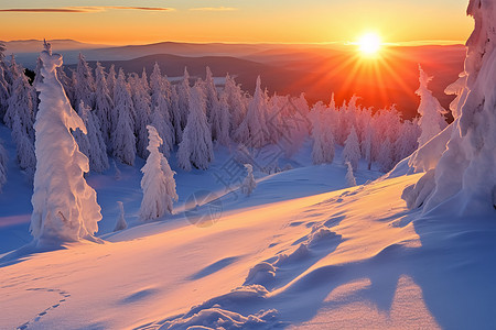 阳光下的雪山图片