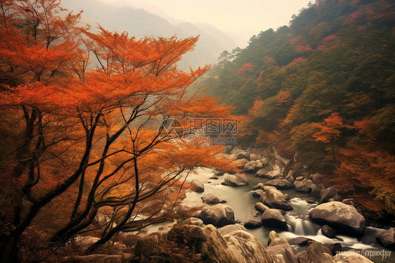 山川河流的景色图片