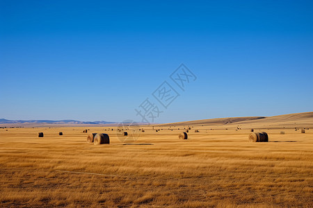 草原的风景图片