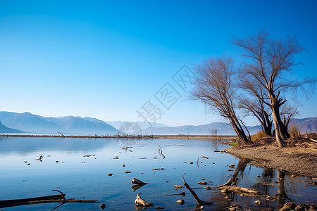 蓝色的湖面景观图片