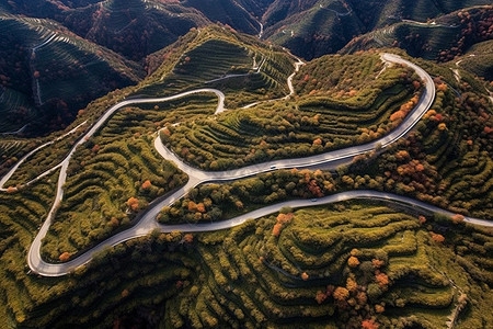 蜿蜒的公路风景图片