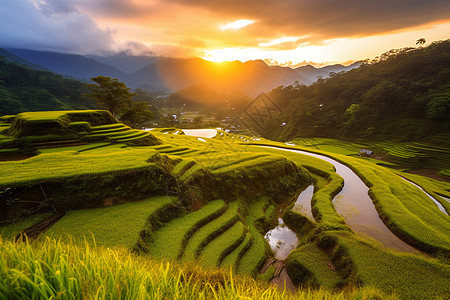 水彩天空大自然的农田风景背景