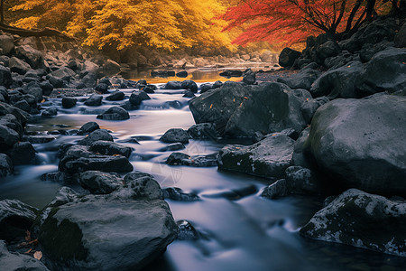 小溪流水和枫叶图片