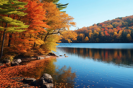 秋天美丽的湖泊图片