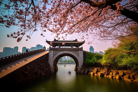 拱门建筑旁的樱花图片