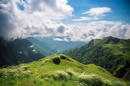 美丽自然的山顶美景图片