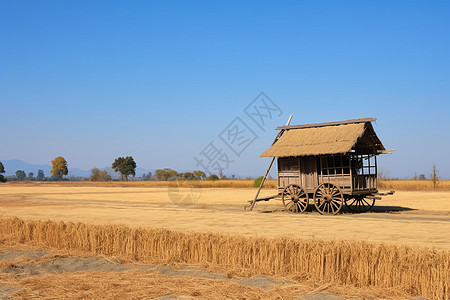 农田中古老的米仓图片