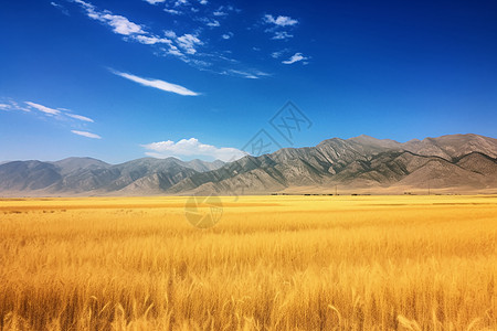 蓝天下的农田和远处的山背景图片