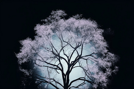 黑暗中一棵发光的树图片