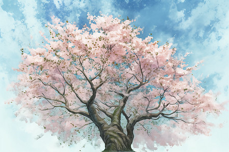 樱花树水彩画背景图片