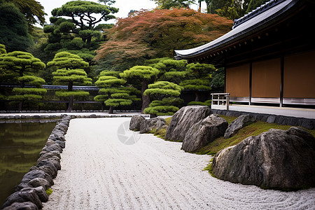 日本传统日本风格的花园背景