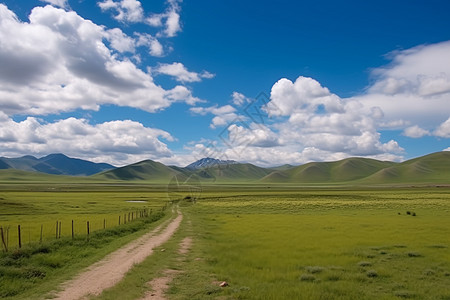 百望山森林公园一望无际的草原背景