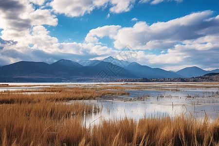 平静的湖面图片