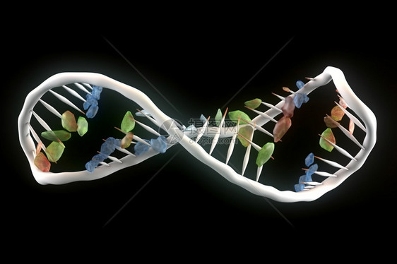 生物化学与dna分子图片