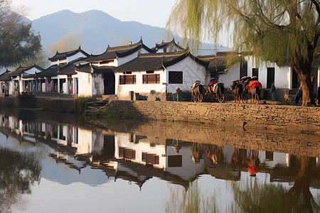 水上的房屋图片