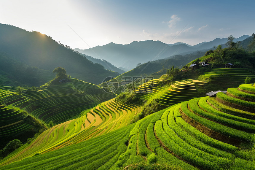 山坳间的梯田图片