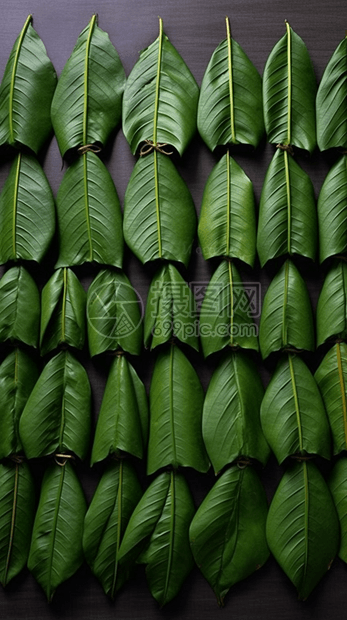 端午节包粽子的叶子图片