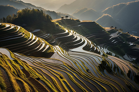 乡村的梯田图片