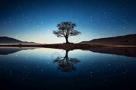星光下湖水和树木倒影图片
