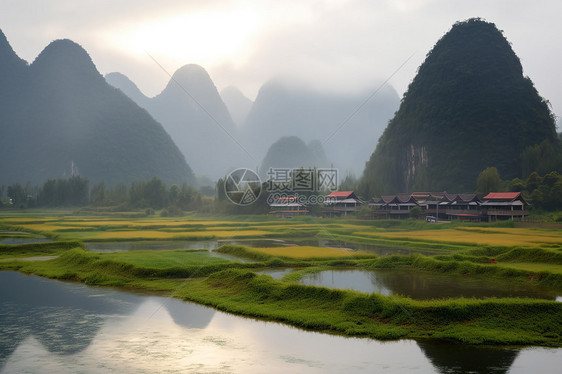 水上绿植和水边乡村图片