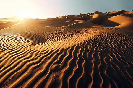 光影下的沙漠图片
