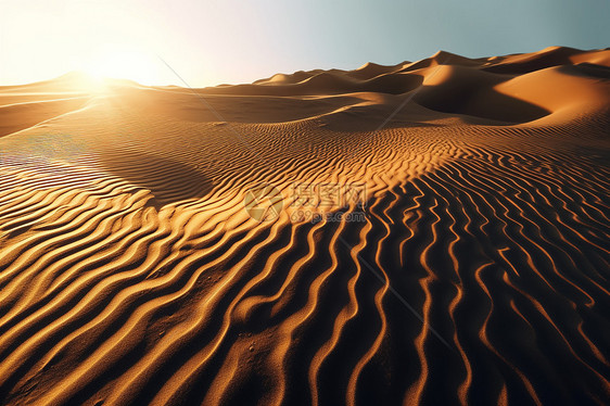 光影下的沙漠图片