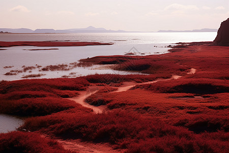 美丽的红色海滩图片