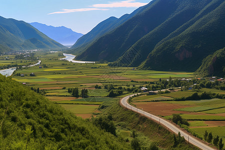 春天大峡谷的自然景观图片