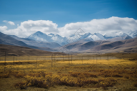 秋天川西户外自然景观图片