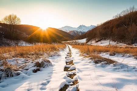 阳光照在积雪上图片