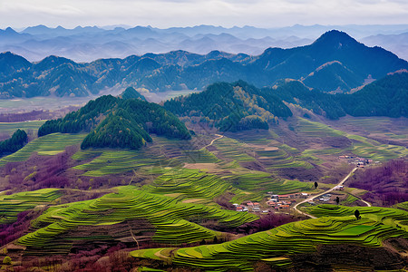 春季梯田景色图片