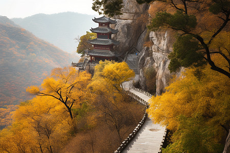 秋季的仙塘山景观图片