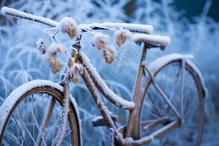结冰的自行车图片