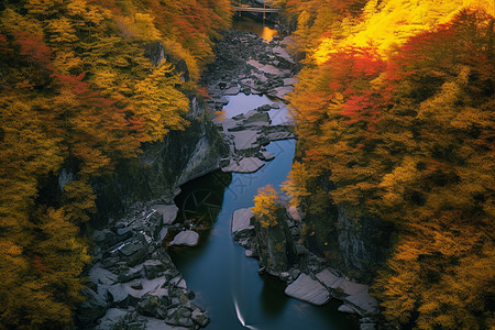 秀美如画光雾山的自然景观背景