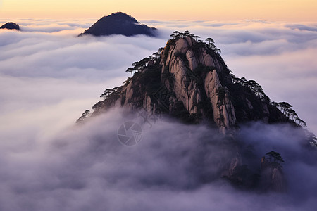 云海山峰松树图片