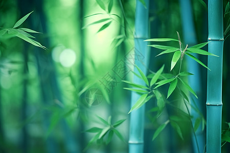 中国风竹林竹林的竹子背景