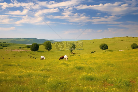 牧场草原的风景图片